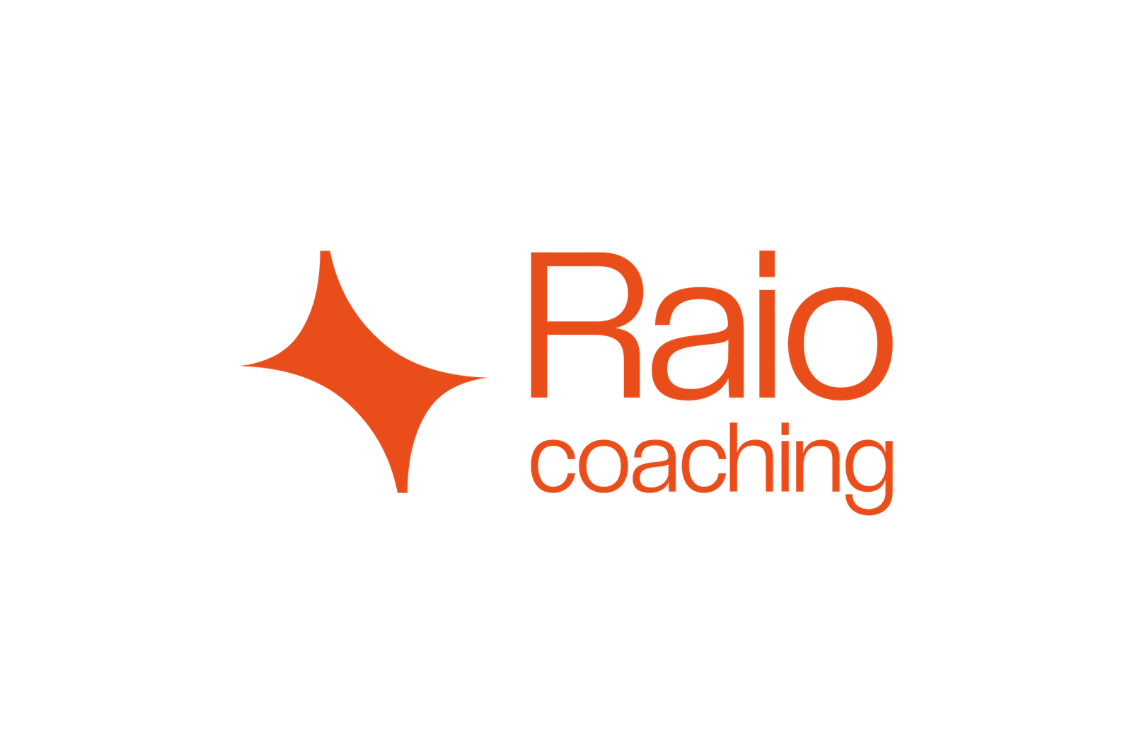 raiocoaching.com